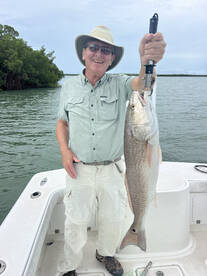 Everglades Report Photo 1