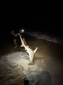 REDINGTN SHOR Report Photo 1