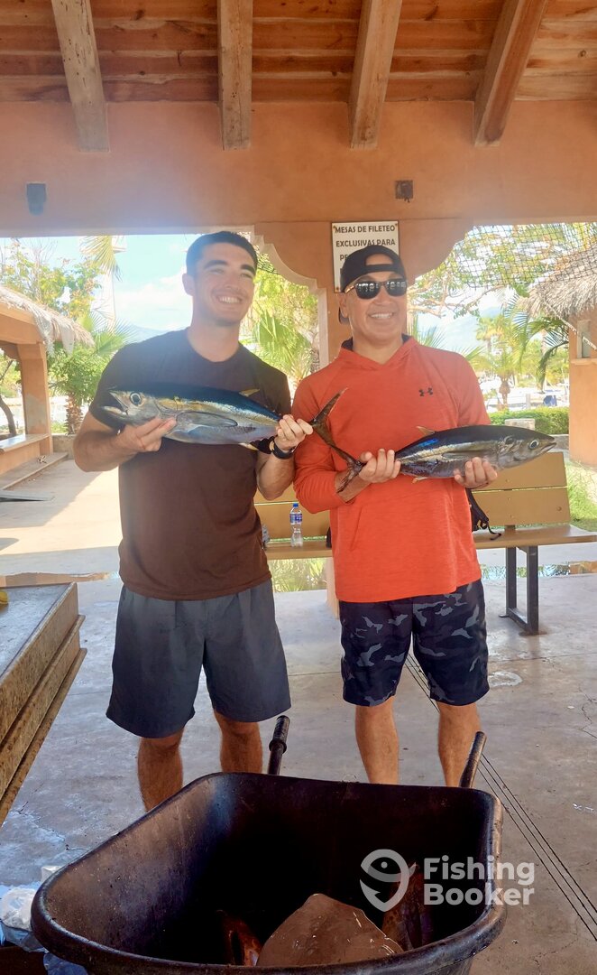 San Jose del Cabo Report Photo 0