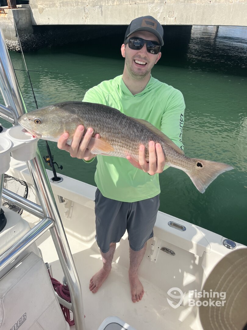 Port Canaveral Report Photo 0