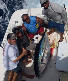 Overnight Yellowfin Tuna Charters!