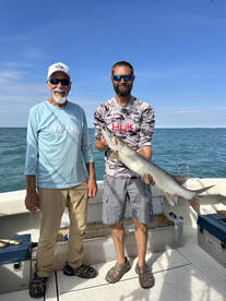 Quick Afternoon Trip 