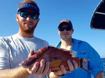 Bay Pines Report Photo 2