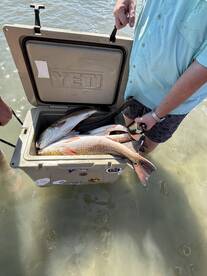 San Jose Island Report Photo 3