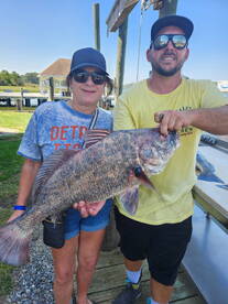 Sheepshead and black drum are chewing!