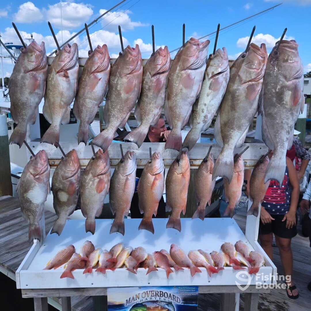 Placida Report Photo 0