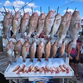 Summertime Red Grouper is popping off!
