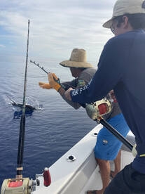 Nassau Report Photo 1