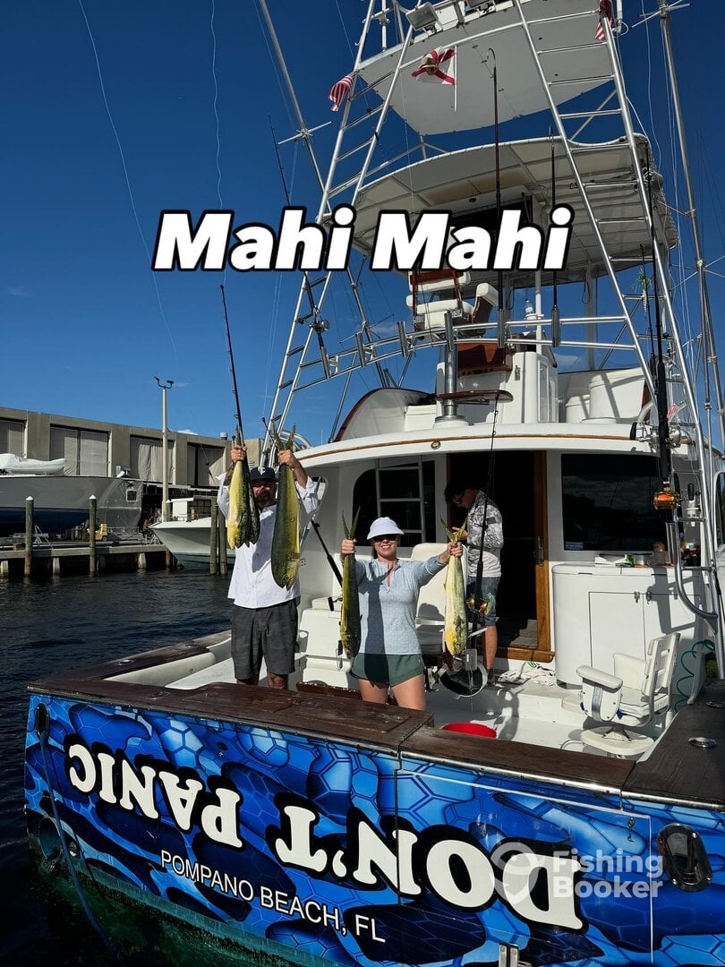 Pompano Beach Report Photo 0