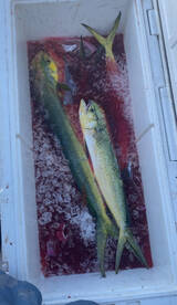 Pompano Beach Report Photo 1