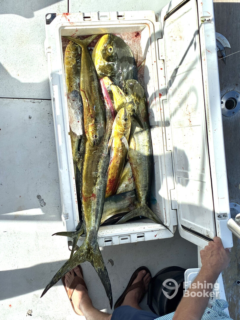 Pompano Beach Report Photo 0