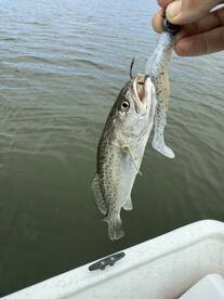 Nanticoke Report Photo 1