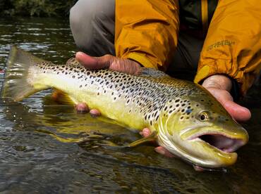 Big Hole River Report Photo 4