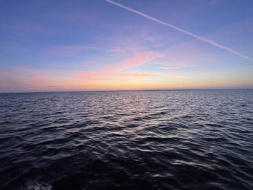 Steinhatchee Report Photo 2