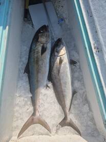 Destin Report Photo 2