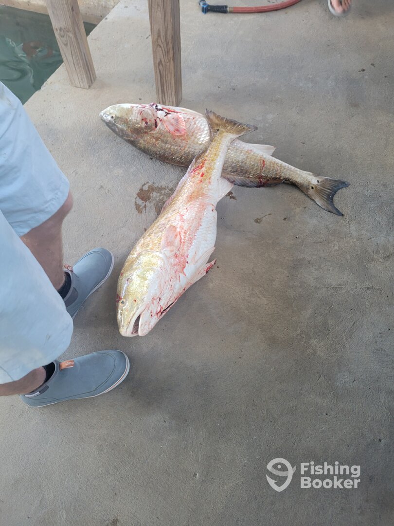 Galveston Bay Report Photo 0