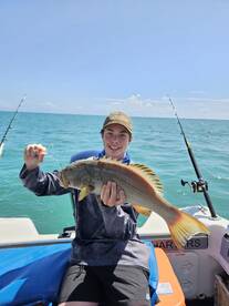 Coral Trout and Emperor