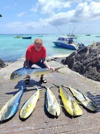 Another good day again today