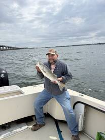 Bellevue Report Photo 1