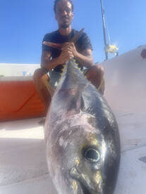 Hurghada Report Photo 1