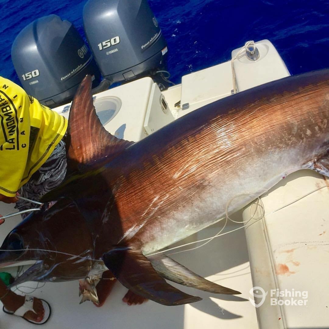 Puerto Aventuras Report Photo 0