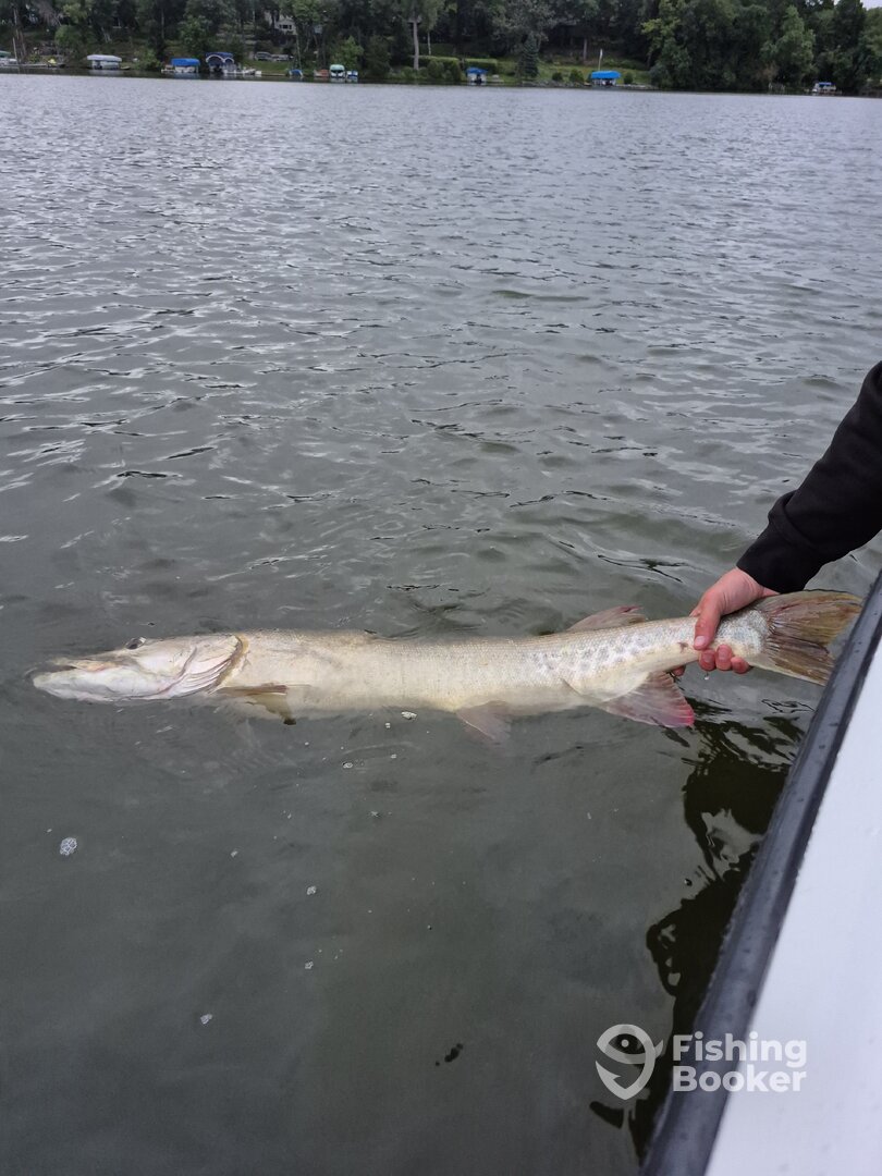 White Bear Lake Report Photo 0