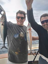 Bonito- tuna family, Barracuda non stop 