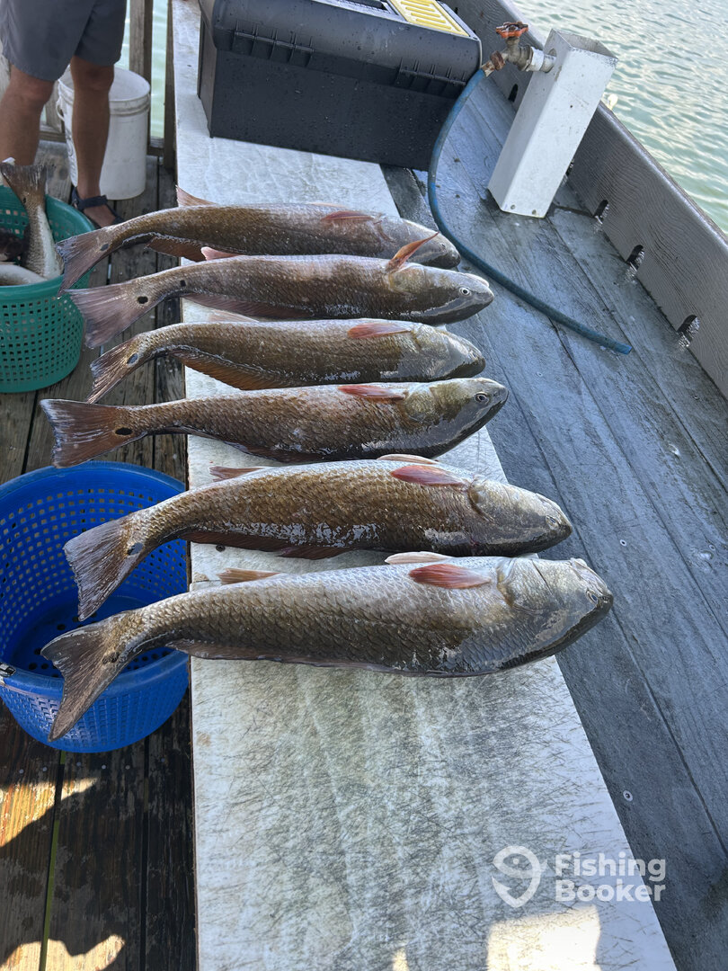 Copano Bay Report Photo 0