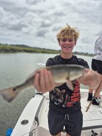 still small and not schooled up yet