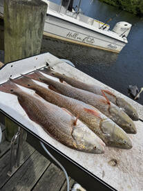 Port Orange Report Photo 2