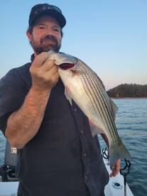 Gainesville Report Photo 1