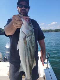 Lake Lanier Report Photo 1
