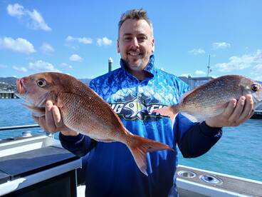 North Island Report Photo 1