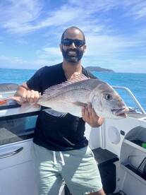 North Island Report Photo 2