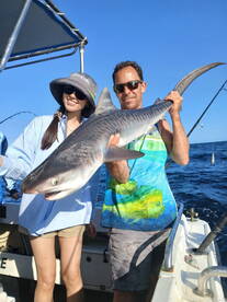 Majestic beasts of the ocean  