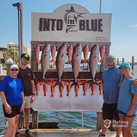 Amberjack Season Sept 2025