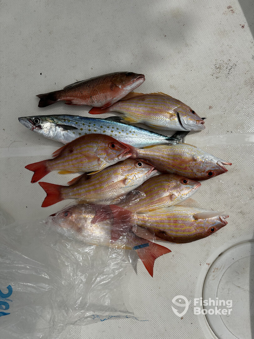 Nokomis Report Photo 0