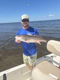 Punta Gorda Report Photo 2