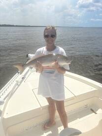 Punta Gorda Report Photo 1
