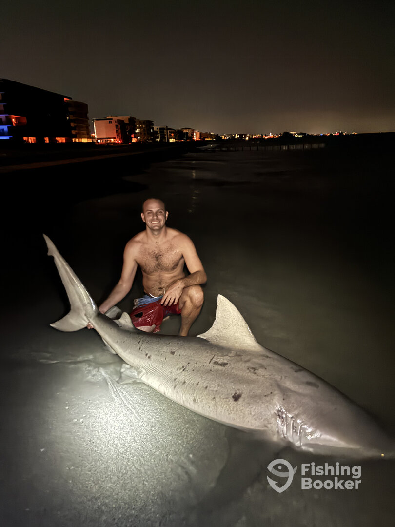 Madeira Beach Report Photo 0