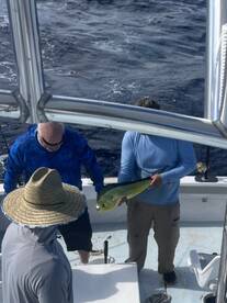 Islamorada Report Photo 2