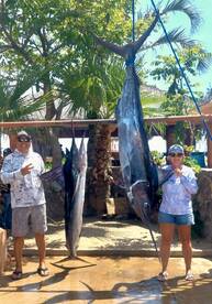 San Jose del Cabo Report Photo 2
