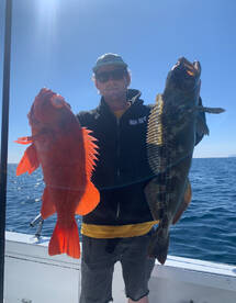 Dana Point Report Photo 2