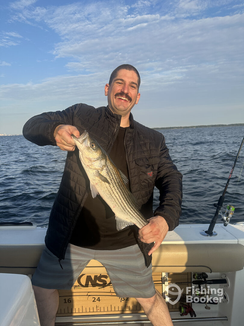 Maryland Report Photo 0