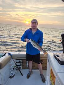 Maryland Report Photo 1