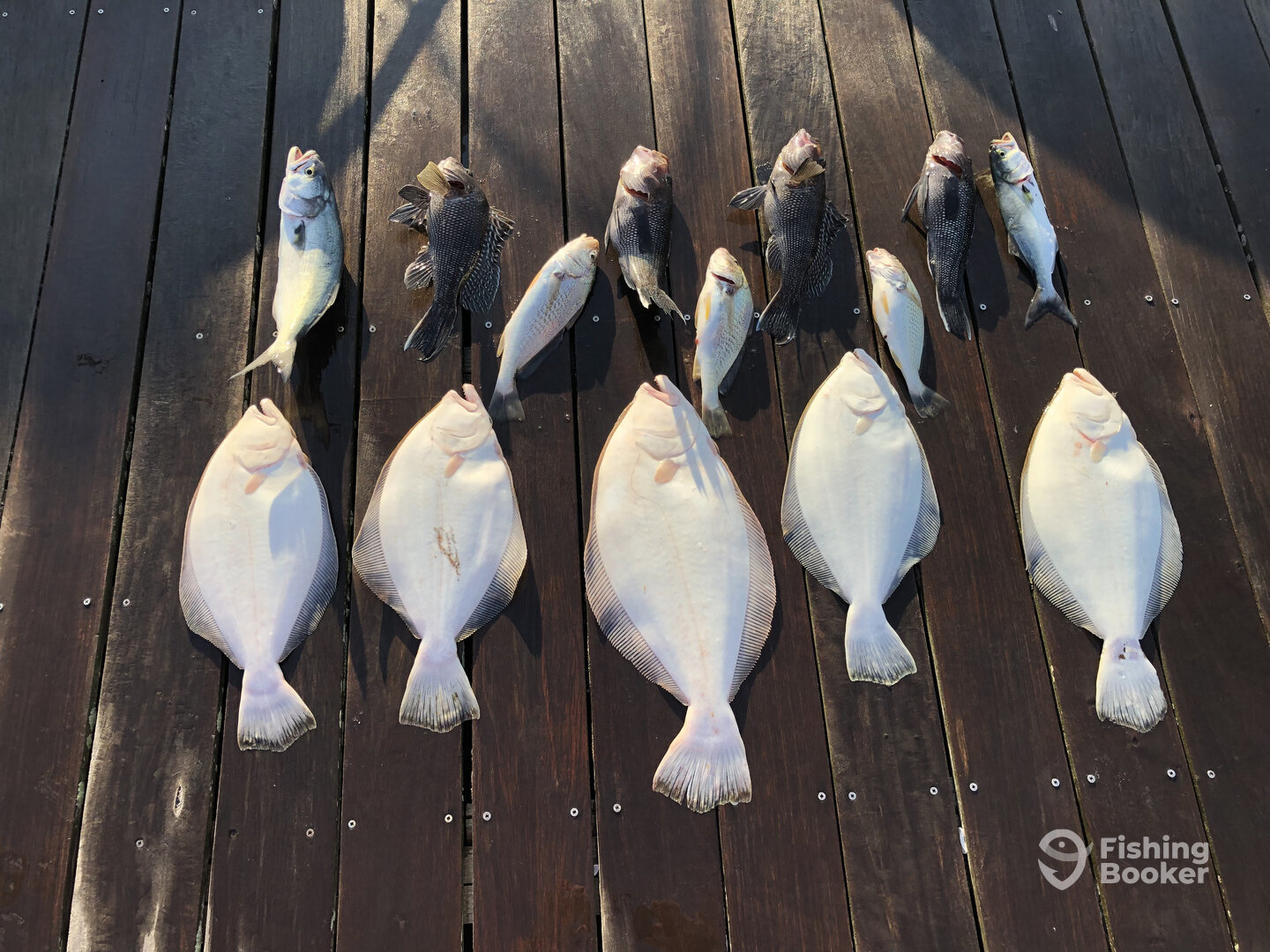 Rehoboth Beach Report Photo 0