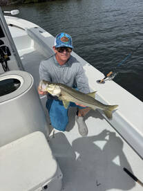 Gasparilla Island Report Photo 4