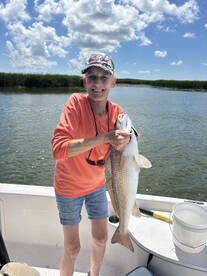 Jefferson Parish Report Photo 1
