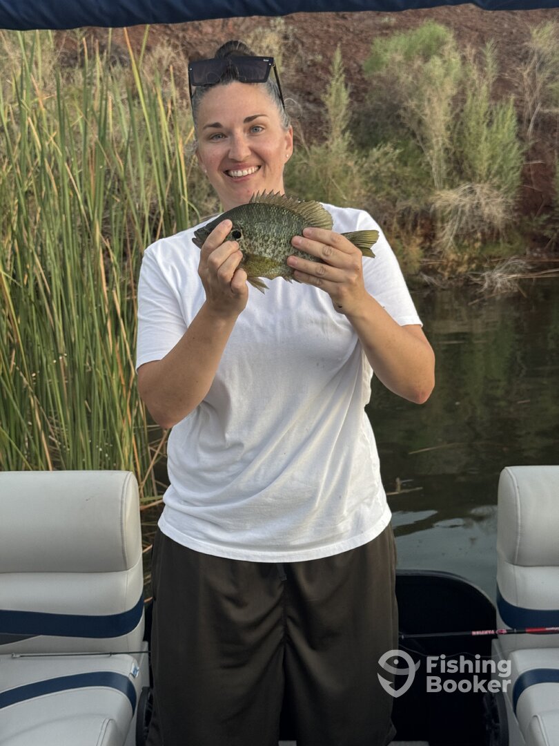 Lake Havasu City Report Photo 0