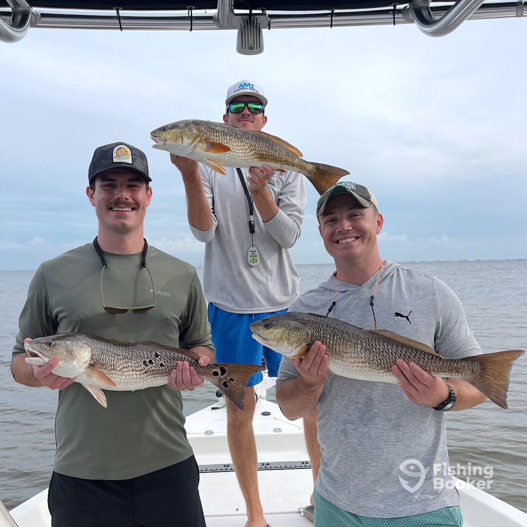 Anna Maria Island Report Photo 0